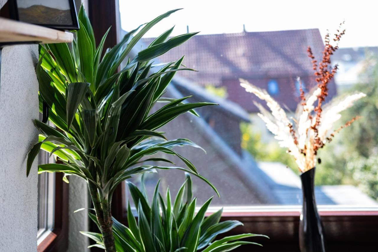Nature Terminal Apartment - Unterwegs Zuhause Steinenbronn Eksteriør billede