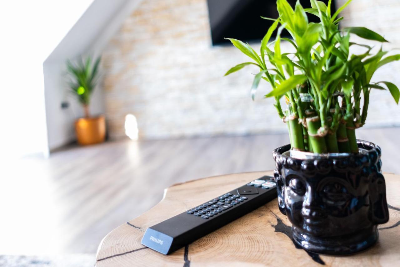 Nature Terminal Apartment - Unterwegs Zuhause Steinenbronn Eksteriør billede